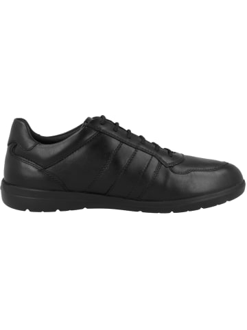 Geox Sneaker low U Leitan H in schwarz