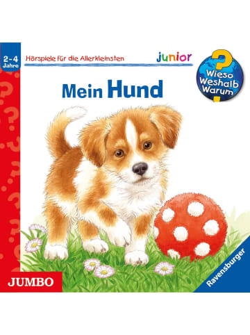 Jumbo Mein Hund