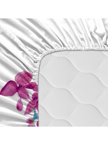 Happy Friday Cassia Spannbettlaken