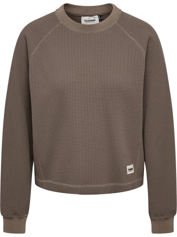 Hummel T-Shirt Raglanärmel Hmlsoft Damen in FALCON