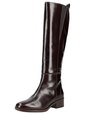 Geox Stiefel CAMEXIA in Dunkelbraun