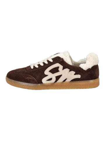 Steve Madden Sneaker Dunkelbraun