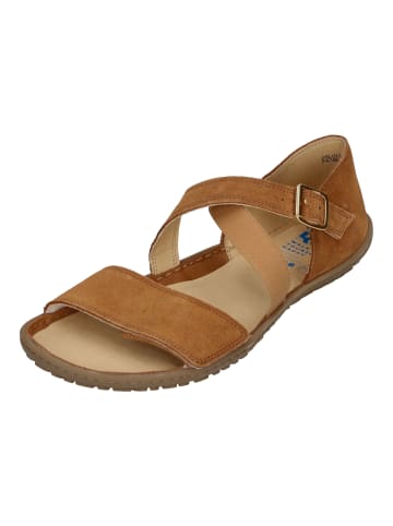 KOEL Sandalen ISA SUEDE in braun