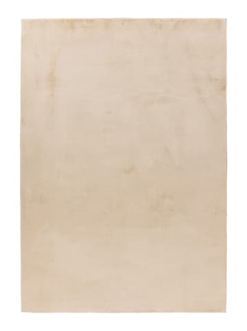 Teppich Boss Kurzflor Teppich Sarina 225 Beige - Beige