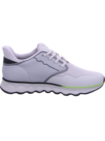 Tamaris Sneaker  in Grau
