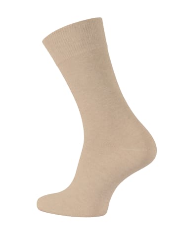 Cotton Prime® 10 Paar Business Socken Prime Cotton in braun