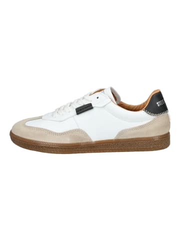 Steve Madden Sneaker in Weiß/Schwarz