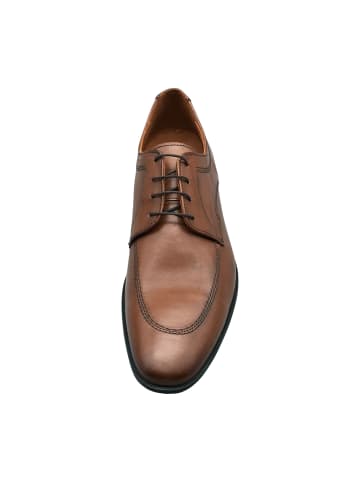 LLOYD Elegante Schnürschuhe in Braun