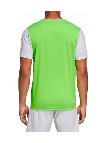 adidas Jersey in 0-Grün/Weiß