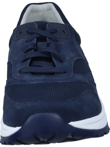 Pius Gabor Sneakers Low in marine/black