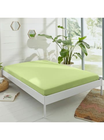 Erwin Müller Single-Jersey Spannbettlaken Murnau in lindgrün