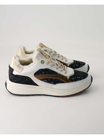 Floris van Bommel Klassische Schnürschuhe in Weiß