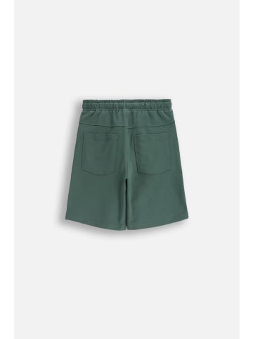 Coccodrillo Kurze Hosen in grün