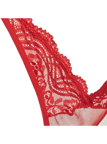 Kisses and Love Pantys in Red