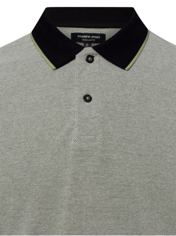 Andrew James Poloshirt in lind