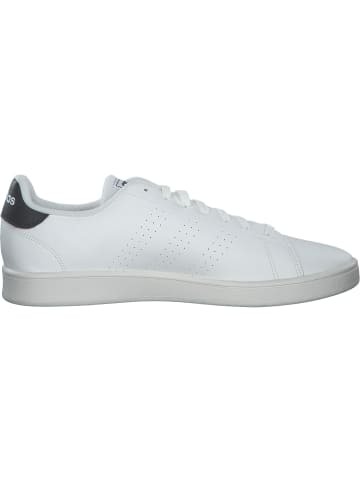 adidas Klassische- & Business Schuhe in core white  core white  carbon