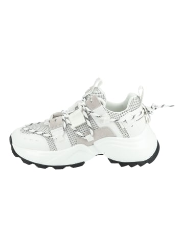 Steve Madden Sneaker in Weiß/Grau