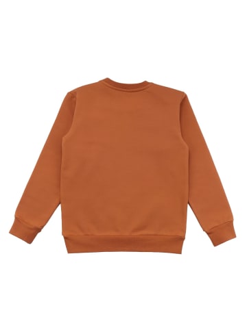 Walkiddy Sweatshirt Dinosaur Jungle - Baumwolle (Bio)