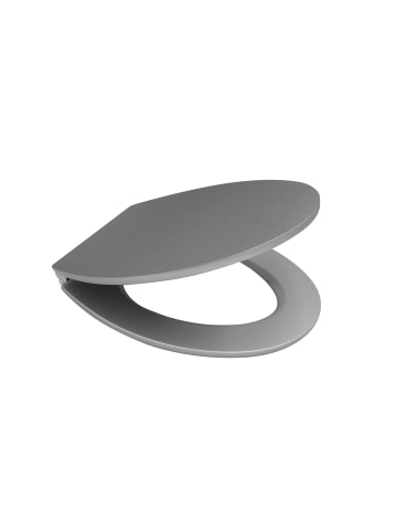 RIDDER WC-Sitz mit Soft-Close Silvery silber