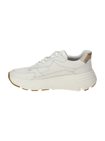 Geox Sneaker Low in Weiß