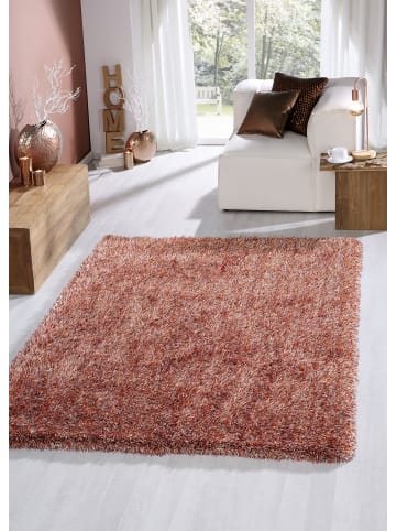 Peyer-Syntex 1 Teppich Sofia Polyshaggy Fb.terra Gr.160/230cm in terra