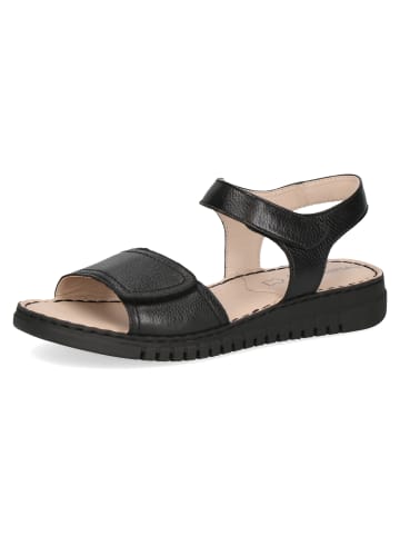 Caprice Sandalette in schwarz
