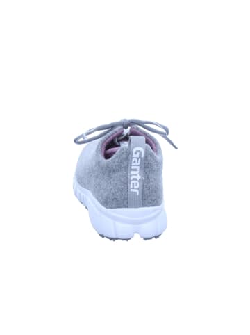 Ganter EVO Merino EVO Merino in graphit/rose