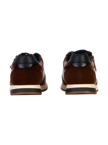 Redskins  Low Sneaker mit Schnürsenkeln Laken Braun