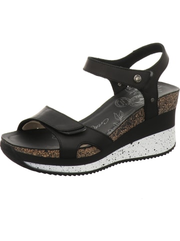 PANAMA JACK Sandalette in schwarz