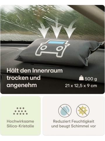 Praknu Praknu | Auto Luftentfeuchter 500g