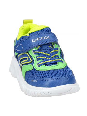 Geox Sneakers Low J WROOM B.B - Mesh+Print.DBK in blau