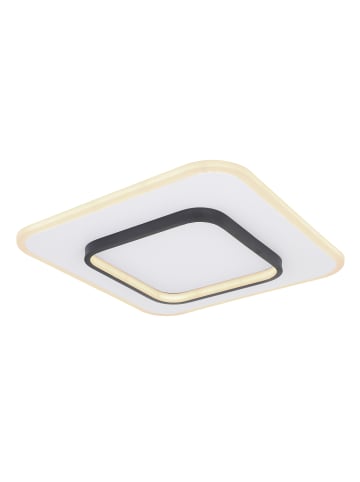Globo lighting Deckenleuchte "LIMA" in white