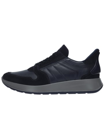 ara Sportlicher Schnürschuh in blau