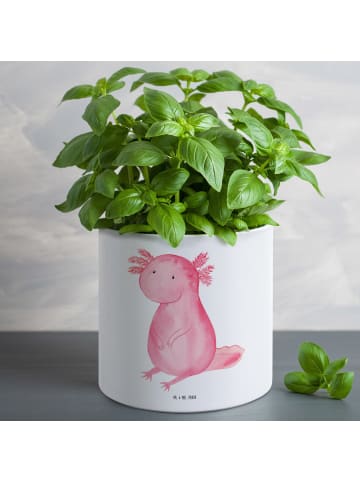 Mr. & Mrs. Panda Pflanzkübel Axolotl Niedlich ohne Spruch in Weiß