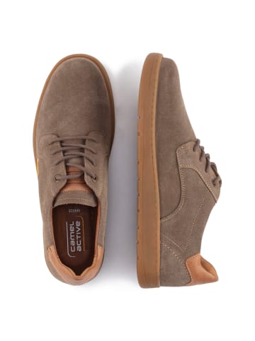 Camel Active Sneaker aus Veloursleder in Beige