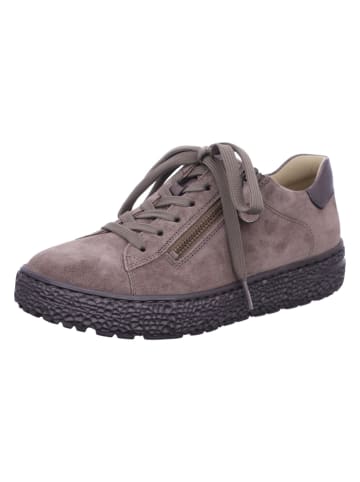 Hartjes Komfort Schnürschuh in braun
