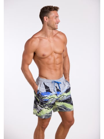 wavebreaker Shorts in grau