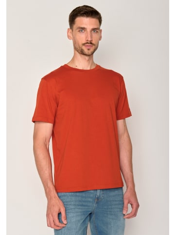 GreenBomb T-Shirt Basic in Lehm rot