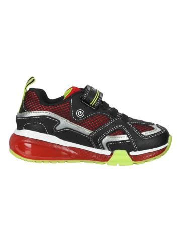 Geox Sneaker in Schwarz/Rot