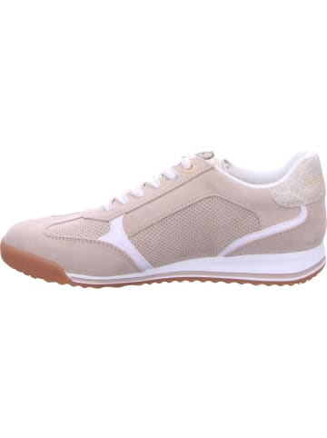 Marco Tozzi Schnürhalbschuh in beige