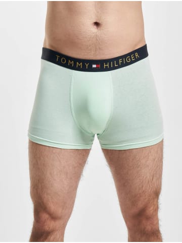 Tommy Hilfiger Tommy Hilfiger Boxershorts in bz/dew/bteal/dst s/br