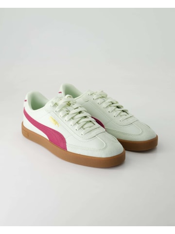 Puma Sneaker low in Grün