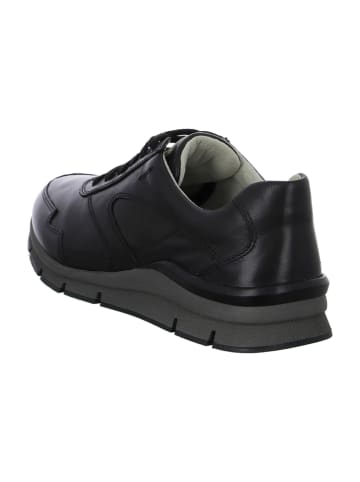 Pius Gabor Komfort Schnürschuhe in Schwarz