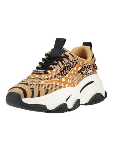 Steve Madden Sneaker POSSESSIONL-E in Beige/Schwarz