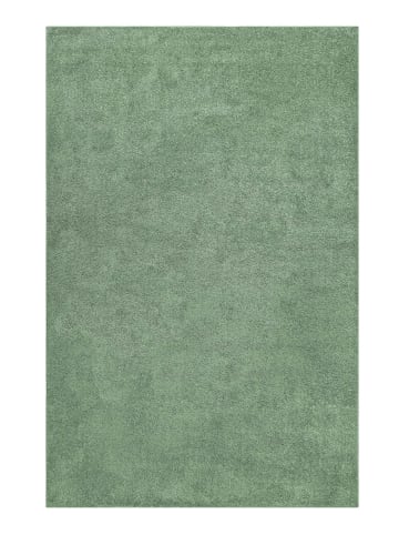 Wecon Home Teppich "Campus" in Mint Grün