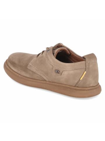 Camel Active Schnürhalbschuh in taupe