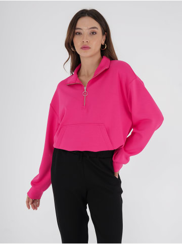 Freshlions Pullover in pink