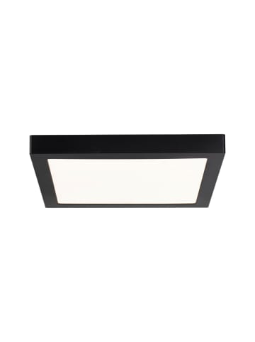 paulmann LED Panel Abia eckig 22W in Schwarz matt