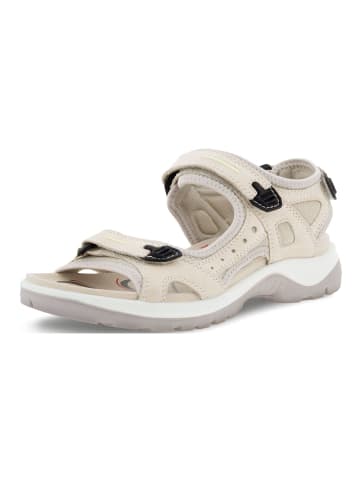 Ecco Sandalen in Beige