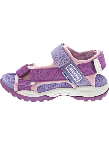 Geox Borealis Girl Sandale Violett